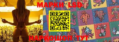 прущие грибы Славянск-на-Кубани