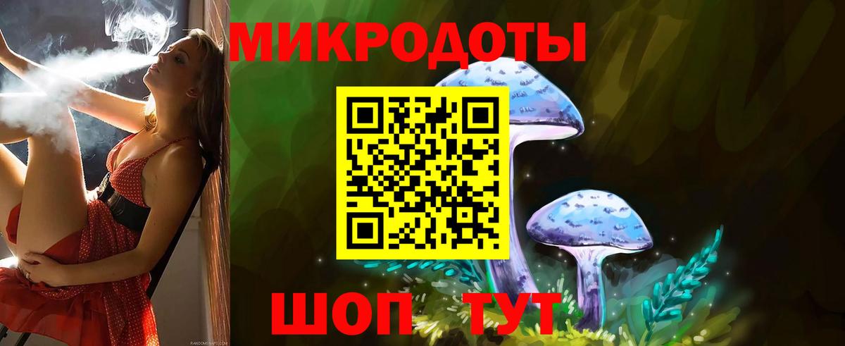 Псилоцибиновые грибы Psilocybine cubensis  Вход с VPN  Псилоцибиновые грибы GOLDEN TEACHER  Новоалександровск 